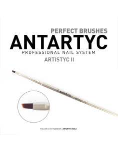 Pennelli per unghie professionali - ARTISTYC 2 + -