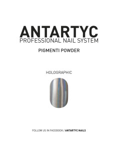 Pigmenti powder (polvere specchio per le unghie)  - Holographic -