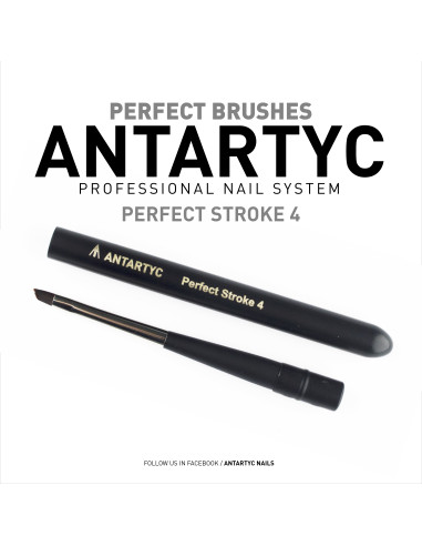 PERFECT STROKE 2 WITH LID