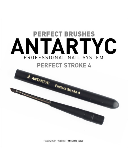 PERFECT STROKE 2 WITH LID