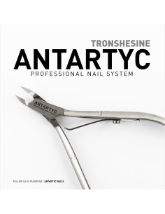 Tronchesino 2