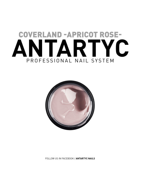APRICOT ROSE