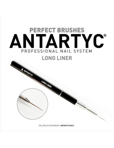 Pennelli per unghie professionali LONG LINER New