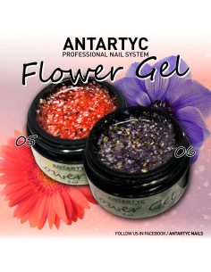 Home KIT FLOWER GEL - 12 COLOURS 2