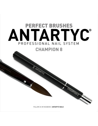 Pennelli per unghie professionali Champion 8