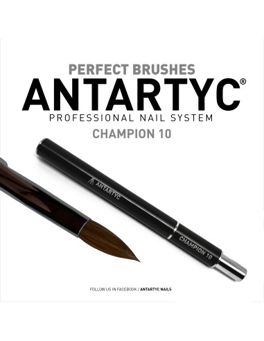 Pennelli per unghie professionali Champion 10