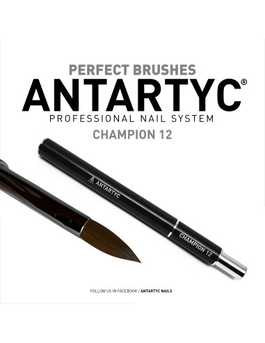 Pennelli per unghie professionali Champion 12