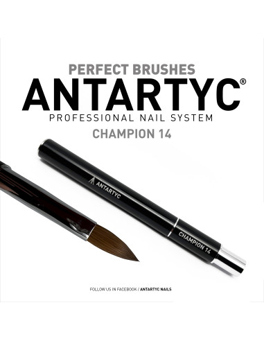 Pennelli per unghie professionali Champion 14
