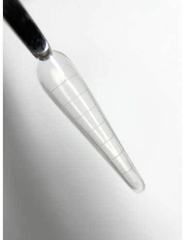 Russain almond Dual form