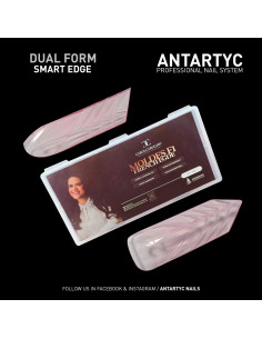 copy of DUAL FORM ROSA (tecnica muretto)